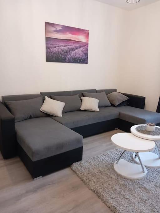Apartment Dora-100M From The Central Beach Makarska Dış mekan fotoğraf